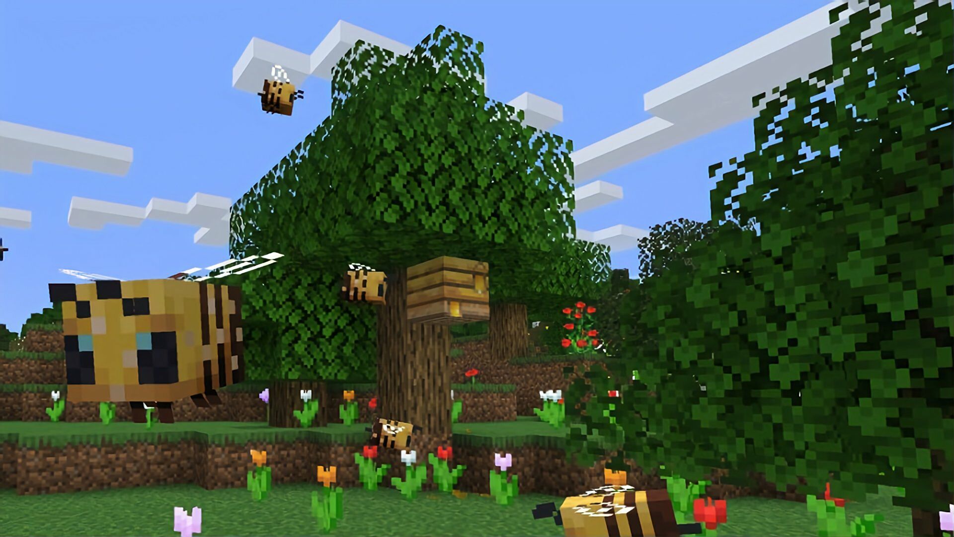 how to collect honey in minecraft