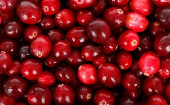 Cranberry juice benefits